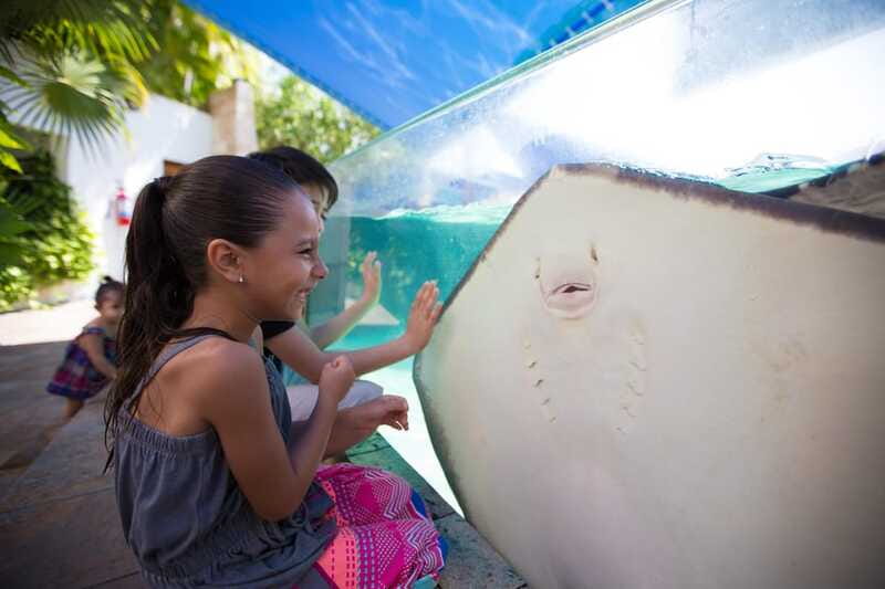Cancún Interactive Aquarium Admission + Dolphin Presentation - Is $26 a fair price?