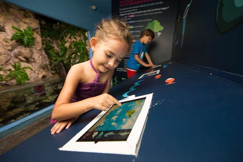 Cancún: Interactive Aquarium Admission - Finding the aquarium inside Plaza La Isla