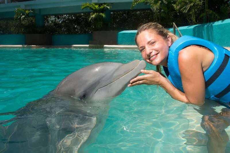 Cancun: Interactive Aquarium - Swim with Dolphins Splash - Key points to know before you book