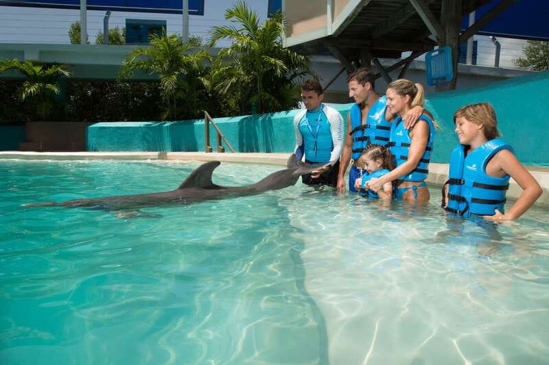 Cancun: Interactive Aquarium - Swim with Dolphins Splash - What happens before you enter the water
