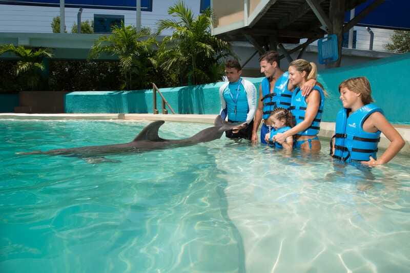Cancun: Interactive Aquarium - Swim with Dolphins Splash - What the water time really feels like