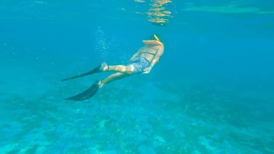 Cancun: Isla Mujeres Full Day Dancer Cruise - Meco reef and the first splash
