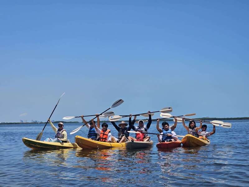Cancun: Kayaking Tour in Nichupte Lagoon - What the $45 price really includes