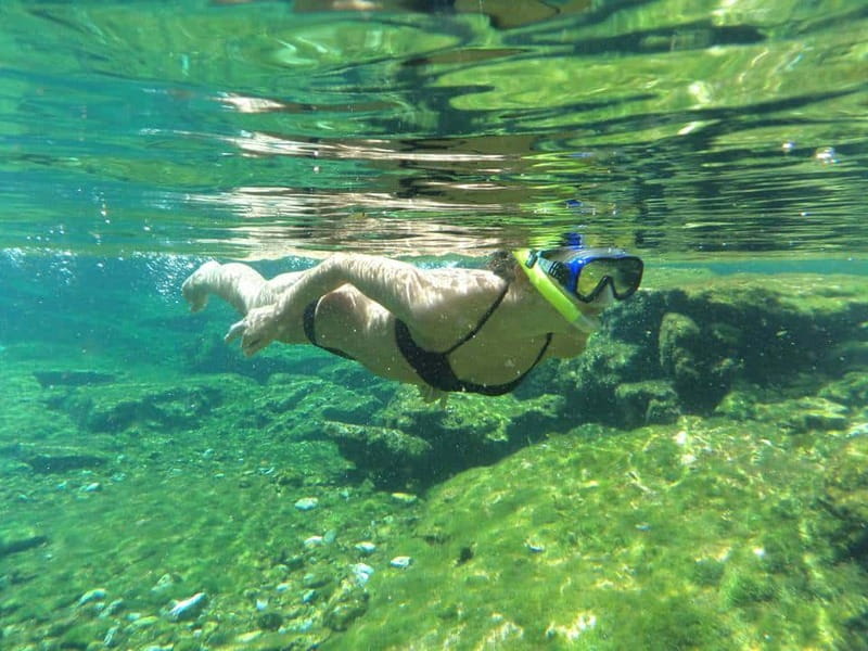 Cancun: Marine Turtle Observation in Akumal - Booking Details That Matter
