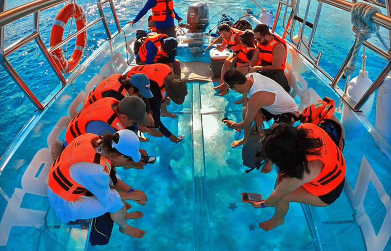 Cancún: Nichupté Lagoon Transparent Boat Tour with Drinks - Who will enjoy this boat ride most?