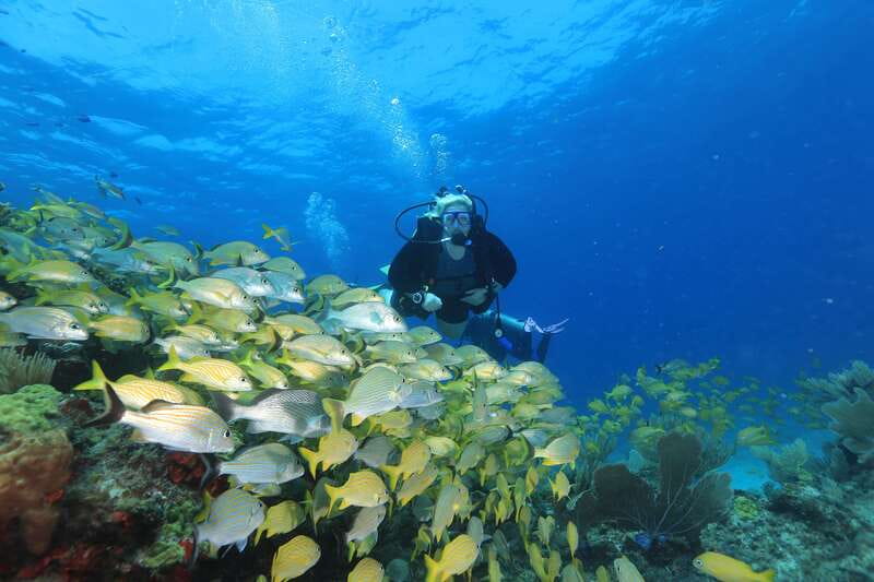 Cancun: Scuba Diving for Beginners, 2 Dives - The boat ride and the practical rhythm of the morning