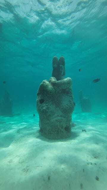 Cancun: Snorkeling Boat Tour with Gear - Finding turtles in a protected secret spot
