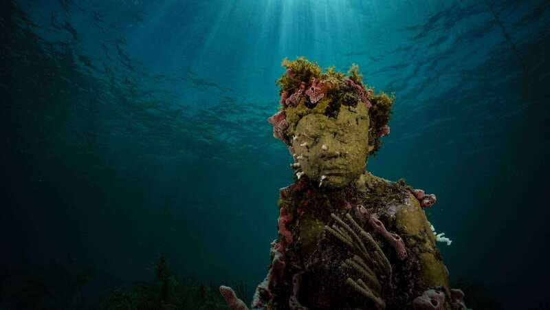 Cancun: Snorkeling Tour at MUSA The Underwater Museum - Key points to know before you book