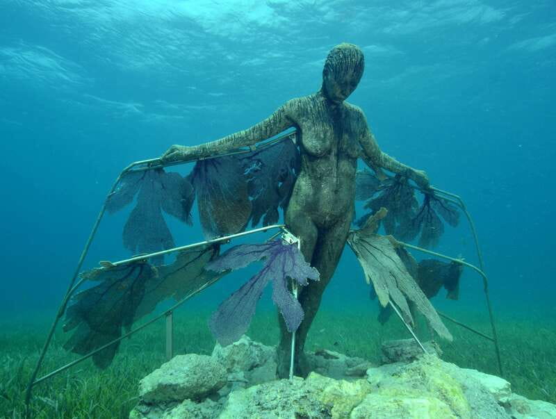 Cancun: Snorkeling Tour at MUSA The Underwater Museum - How the safety and equipment work