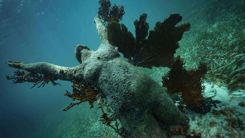 Cancun: Snorkeling Tour at MUSA The Underwater Museum - What the $58 price really covers