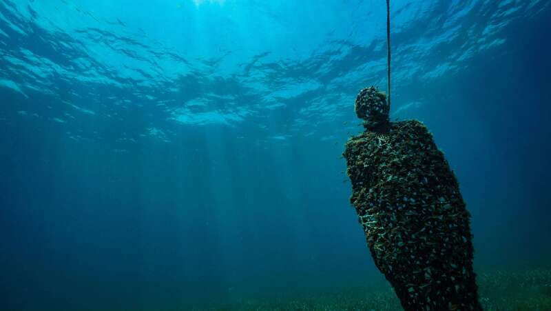 Cancun: Snorkeling Tour at MUSA The Underwater Museum - Weather, comfort, and who should choose it