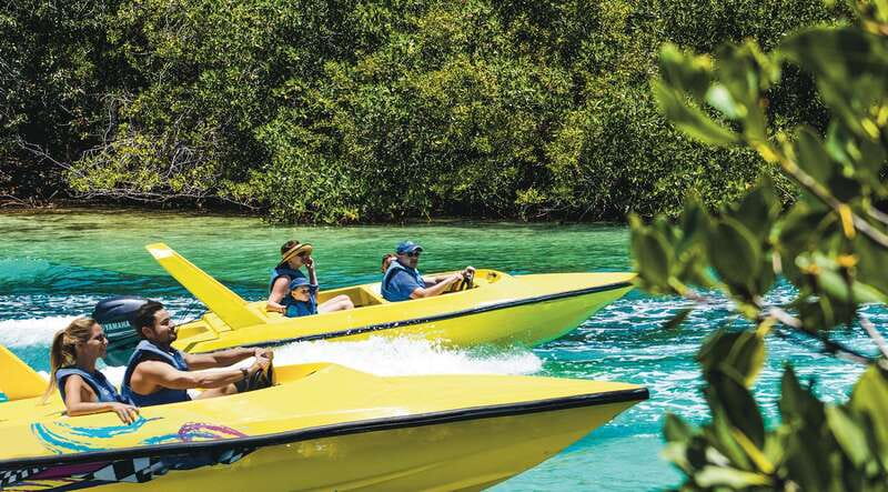 Cancun: Speedboat Mangrove Jungle & Snorkel Tour - From Aquaworld Marina to the mangrove channels