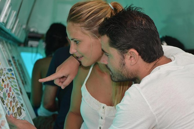 Cancun Submarine and Optional Snorkeling Tour - Service, guides, and the small details