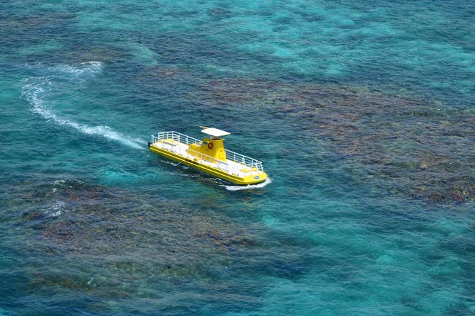 Cancun Submarine and Optional Snorkeling Tour - Who should choose this Cancun outing?