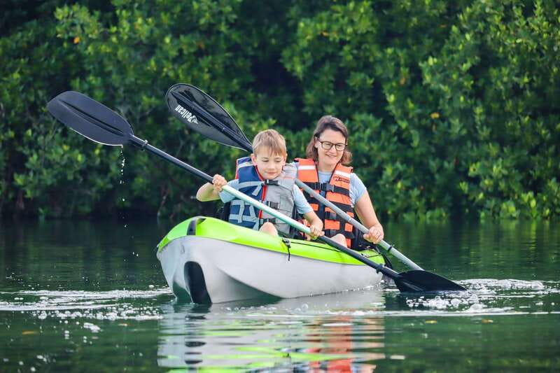 Cancun: Sunset Kayak Experience in the Mangroves - First 45 minutes: open water and mangrove edges