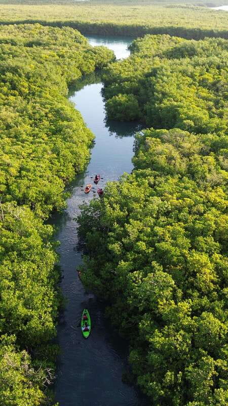 Cancun: Sunset Kayak Experience in the Mangroves - The 15-minute warm-up makes a difference