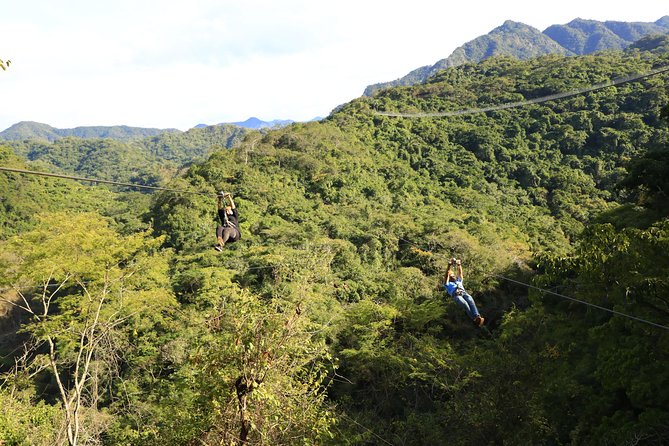 Canopy River Zipline Tour and Mule Ride - Flying through the Sierra Madre canopy