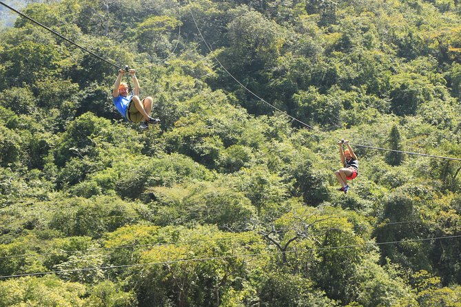 Canopy River Zipline Tour and Mule Ride - Five hours, small groups, and the value of $120