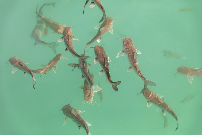 Catamaran Adventure: Sailing and Swimming in the Bacalar Lagoon - Getting to Casa China Bacalar