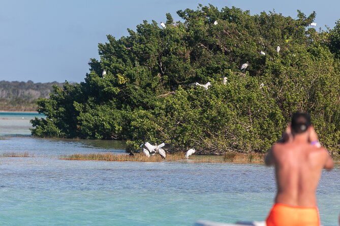 Catamaran Adventure: Sailing and Swimming in the Bacalar Lagoon - Who will enjoy this Bacalar outing