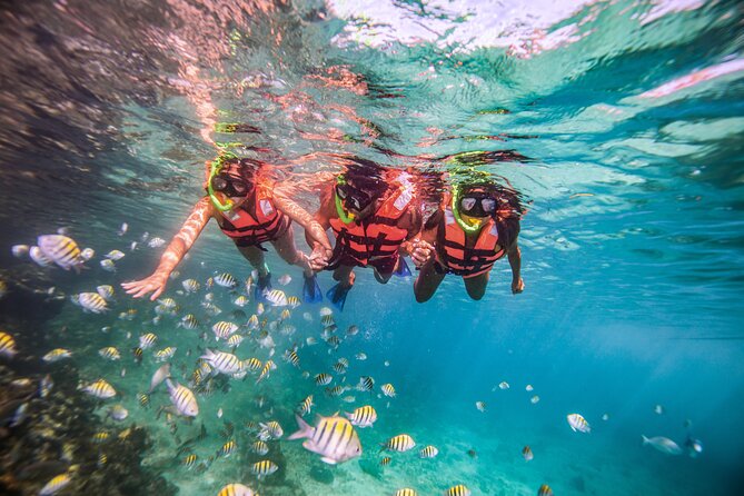 CATAMARAN to Isla Mujeres, Snorkel & Beach Club by Xcaret - Sailing to Isla Mujeres