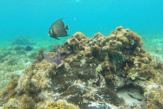 Catamaran with Snorkeling and North Beach, Isla Mujeres - What the $49 price really buys