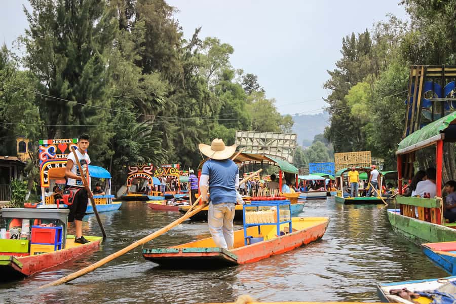 CDMX: Xochimilco, Coyoacan, Frida Kahlo Museum & Murals Tour - UNAM and the murals of Ciudad Universitaria