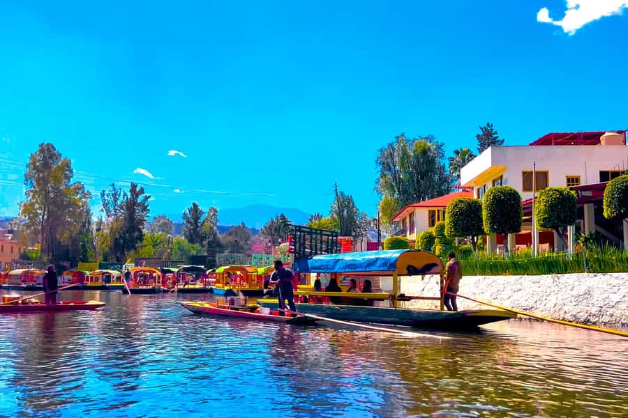 CDMX: Xochimilco Trajinera Party, Drinks, Mariachi & Tacos - Tacos after the canal ride