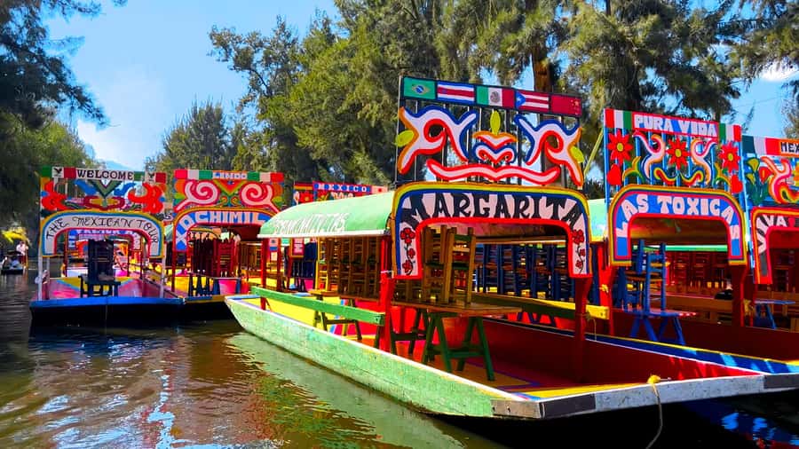 CDMX: Xochimilco Trajinera Party, Drinks, Mariachi & Tacos - How long the experience really takes