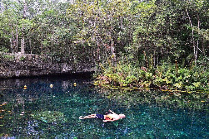 Cenote Triple Adventure Tour in Tulum - Casa Cenote: A Jungle Swim With Wildlife