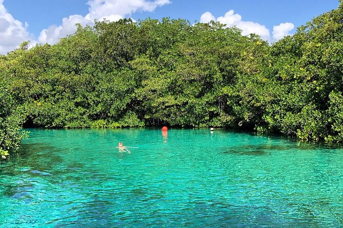 Cenote Triple Adventure Tour in Tulum - Is $129.88 a Fair Price?