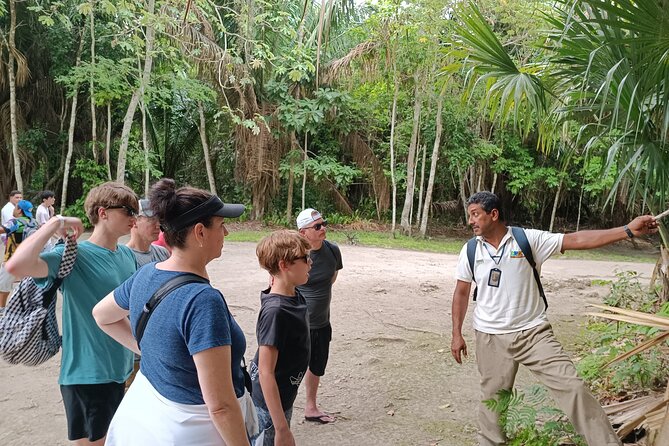Chacchoben Mayan Ruins Excursion - Group size and the pace of the day