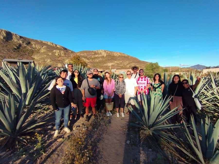 Check out Hierve el Agua, Mitla, the Tule Tree, Rugs, and a Mezcal Distillery Tour - Teotitlán del Valle and the work behind the rugs