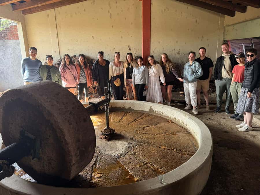 Check out Hierve el Agua, Mitla, the Tule Tree, Rugs, and a Mezcal Distillery Tour - Lunch and the cost of eating on the road