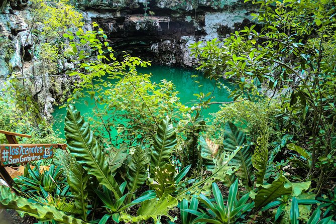Choose your experience to live in Los 7 Cenotes San Gerónimo - Starting at San Pedro y San Pablo Church in Sotuta