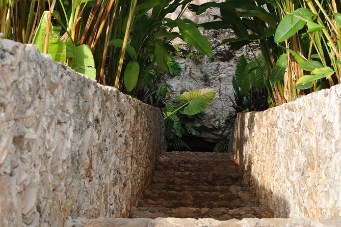 Choose your experience to live in Los 7 Cenotes San Gerónimo - Cycling 1.2 kilometers through the grounds