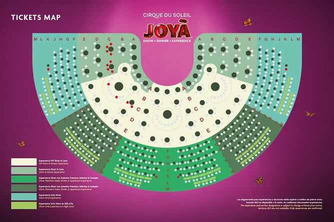 Cirque du Soleil JOYÀ Admission Tickets - Seating, service, and timing concerns
