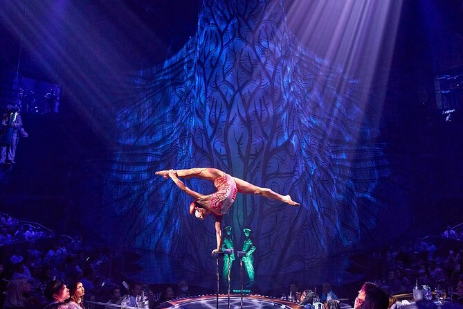 Cirque du Soleil JOYÀ Admission Tickets - The four ticket choices