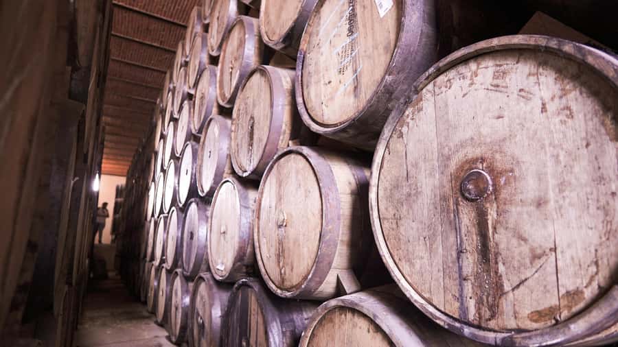 Classic Tequila Route Tour from Guadalajara and cantaritos el GÜERO!!! - Tequila town, markets, and colonial streets