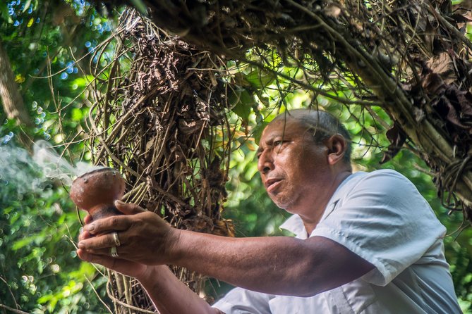 Coba Ruins, Punta Laguna Nature Reserve, Cenote and Mayan family - Ending with a cenote swim
