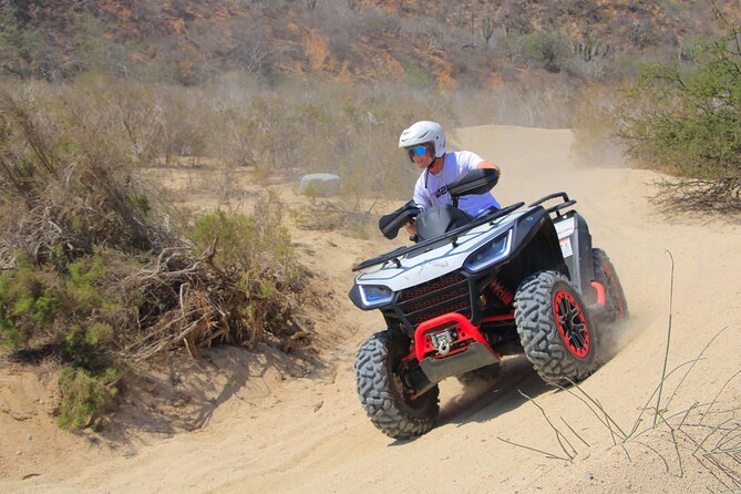 Combo Horseback Ride and Sky Bike in Cabo - What the $125 price really covers