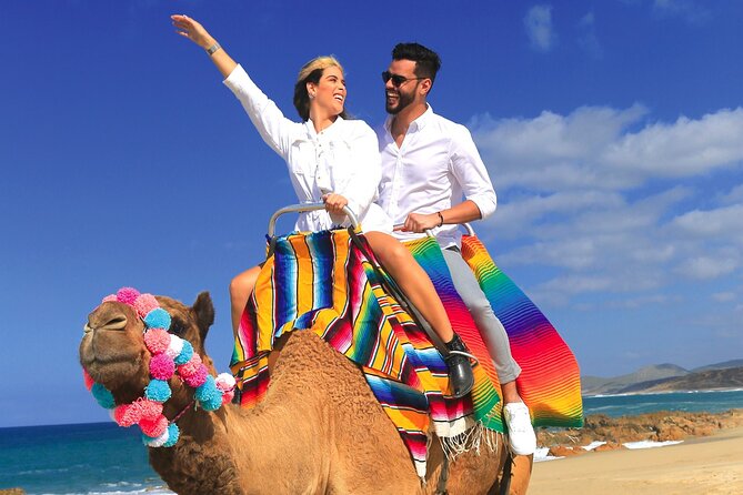 Combo Horseback Ride and Sky Bike in Cabo - Family fit, gear, and practical limits