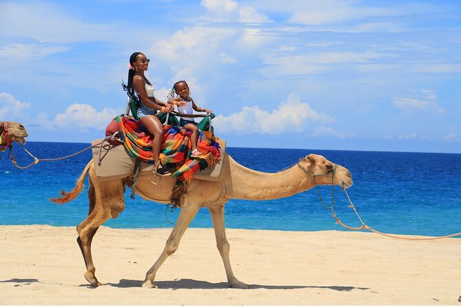 Combo Horseback Ride and Sky Bike in Cabo - Who should book this experience