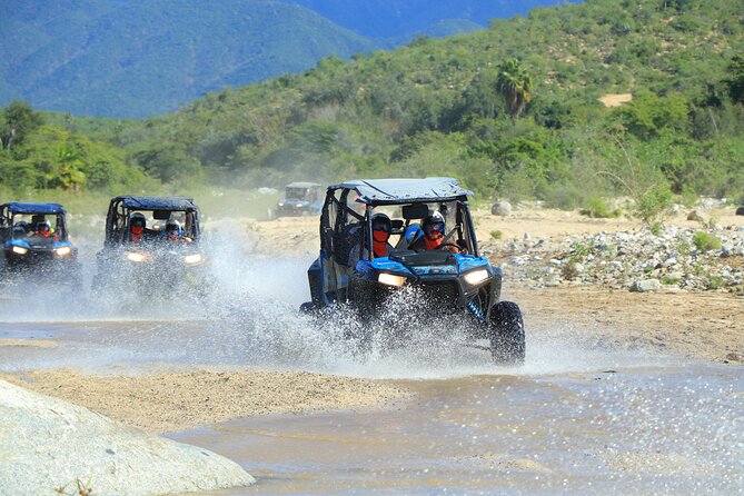 Combo Single Offroad 4x4 UTV, Camel Ride, Lunch & Tequila Tasting - From Cabo to Tierra Sagrada