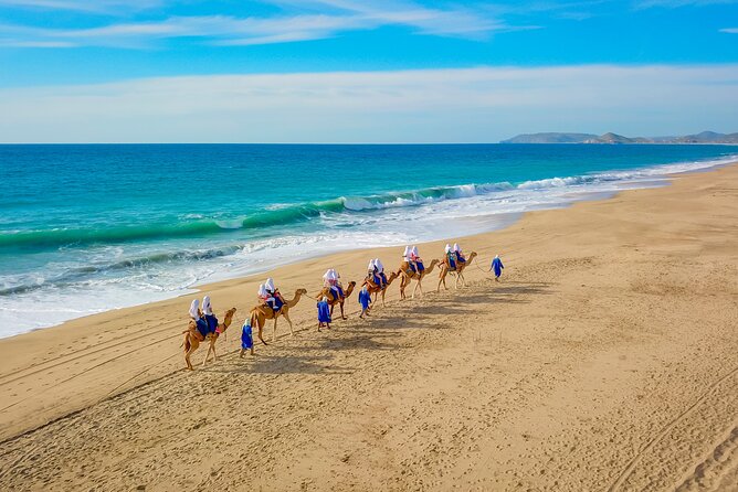 Combo Single Offroad 4x4 UTV, Camel Ride, Lunch & Tequila Tasting - Trading engines for camels