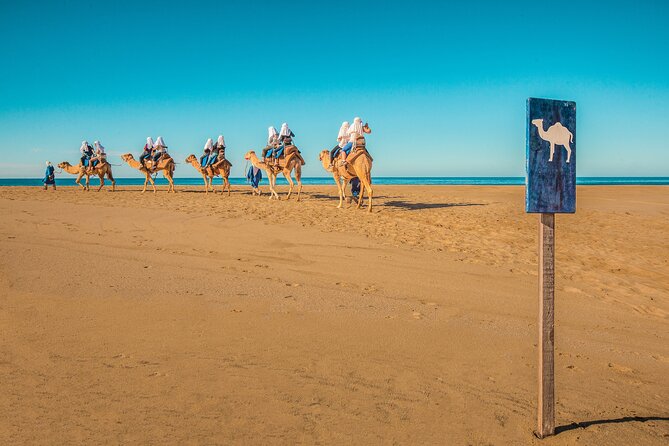Combo Single Offroad 4x4 UTV, Camel Ride, Lunch & Tequila Tasting - A Mexican buffet beside the ocean