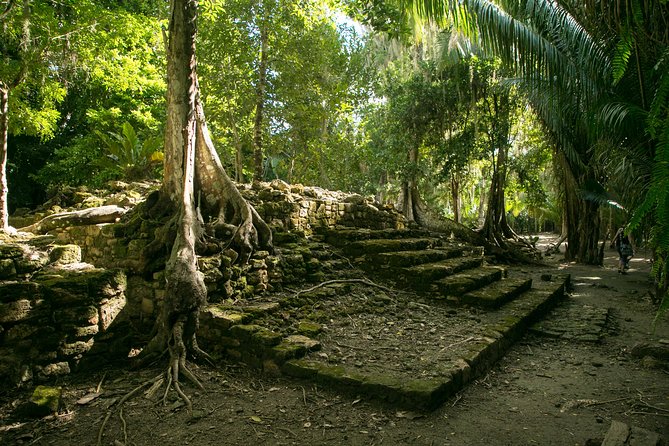 Costa Maya Shore Excursion: Chacchoben Day Trip - Key points before you book