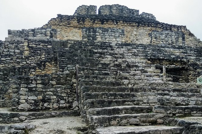 Costa Maya Shore Excursion: Chacchoben Day Trip - Jungle wildlife and the value of a local guide