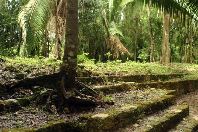Costa Maya Shore Excursion: Chacchoben Day Trip - Meeting the guides at the archaeological site