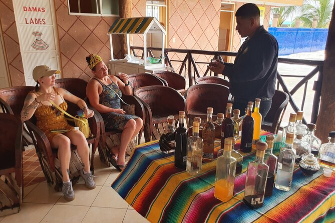 Cozumel 5-Hour Private Bar Crawl Tour - Mojito Factory: the closest stop to the beach